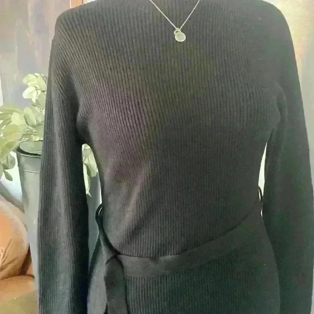 NWOT Caracilia knitted long sleeve dress with high neckline.